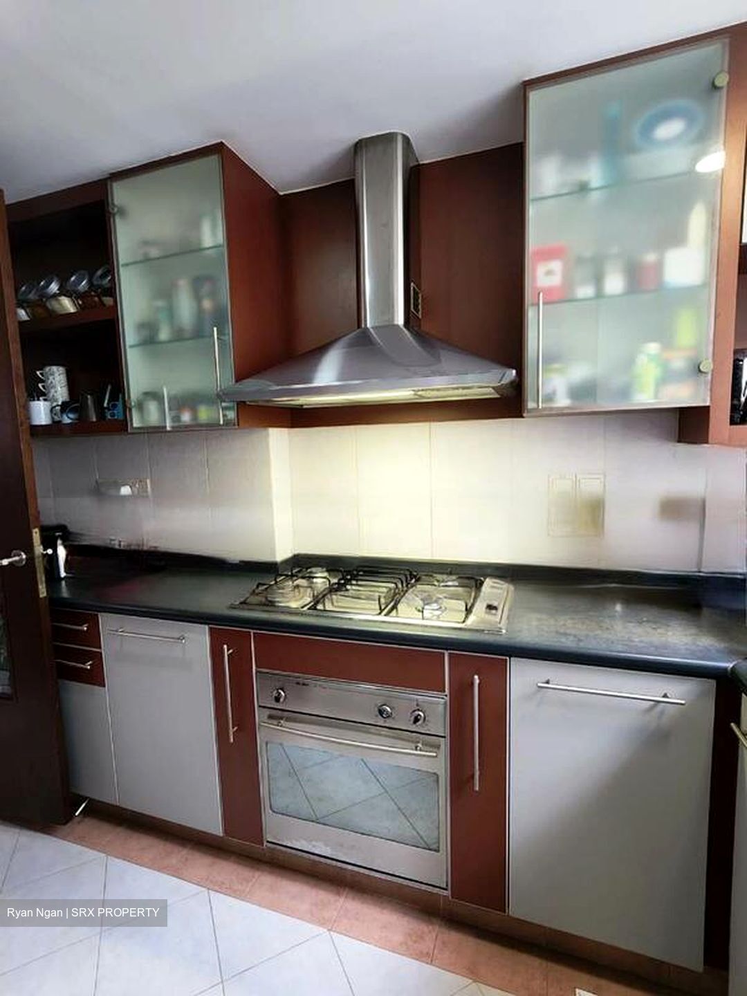 Alessandrea (D3), Apartment #421228081